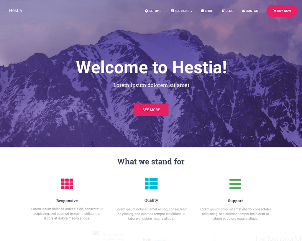best one page WordPress themes
