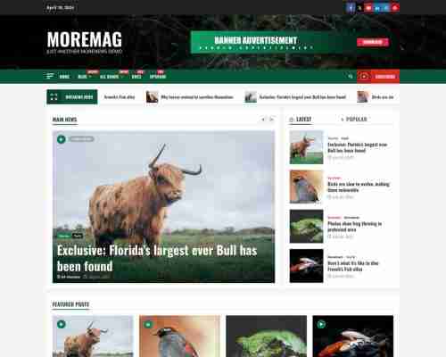 moremag